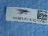  ( - NHMUK015060460)  @11 [ ] Unspecified (default): All Rights Reserved  Unspecified Unspecified
