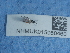  ( - NHMUK015060460)  @11 [ ] Unspecified (default): All Rights Reserved  Unspecified Unspecified