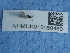  ( - NHMUK015060460)  @11 [ ] Unspecified (default): All Rights Reserved  Unspecified Unspecified