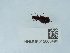  ( - NHMUK015060489)  @11 [ ] Unspecified (default): All Rights Reserved  Unspecified Unspecified