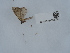  ( - NHMUK015060502)  @11 [ ] Unspecified (default): All Rights Reserved  Unspecified Unspecified