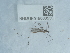  ( - NHMUK015060530)  @11 [ ] Unspecified (default): All Rights Reserved  Unspecified Unspecified