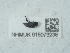  ( - NHMUK015073236)  @11 [ ] Unspecified (default): All Rights Reserved  Unspecified Unspecified