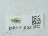  ( - NHMUK015073953)  @11 [ ] Unspecified (default): All Rights Reserved  Unspecified Unspecified