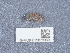  ( - NHMUK015073969)  @11 [ ] Unspecified (default): All Rights Reserved  Unspecified Unspecified