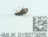  ( - NHMUK015073986)  @11 [ ] Unspecified (default): All Rights Reserved  Unspecified Unspecified