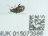  ( - NHMUK015073986)  @11 [ ] Unspecified (default): All Rights Reserved  Unspecified Unspecified