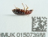  ( - NHMUK015073988)  @11 [ ] Unspecified (default): All Rights Reserved  Unspecified Unspecified