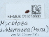  ( - NHMUK015074680)  @11 [ ] Unspecified (default): All Rights Reserved  Unspecified Unspecified