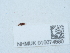  ( - NHMUK015074680)  @11 [ ] Unspecified (default): All Rights Reserved  Unspecified Unspecified