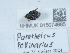  ( - NHMUK015074685)  @11 [ ] Unspecified (default): All Rights Reserved  Unspecified Unspecified