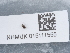  ( - NHMUK015111555)  @11 [ ] Unspecified (default): All Rights Reserved  Unspecified Unspecified