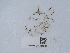  ( - NHMUK015111601)  @11 [ ] Unspecified (default): All Rights Reserved  Unspecified Unspecified