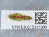  ( - NHMUK015111609)  @11 [ ] Unspecified (default): All Rights Reserved  Unspecified Unspecified
