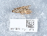  ( - NHMUK015111621)  @11 [ ] Unspecified (default): All Rights Reserved  Unspecified Unspecified