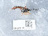  ( - NHMUK015111762)  @11 [ ] Unspecified (default): All Rights Reserved  Unspecified Unspecified