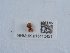  ( - NHMUK015112421)  @11 [ ] Unspecified (default): All Rights Reserved  Unspecified Unspecified