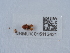  ( - NHMUK015112421)  @11 [ ] Unspecified (default): All Rights Reserved  Unspecified Unspecified