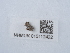  ( - NHMUK015112422)  @11 [ ] Unspecified (default): All Rights Reserved  Unspecified Unspecified
