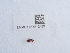  ( - NHMUK015112423)  @11 [ ] Unspecified (default): All Rights Reserved  Unspecified Unspecified