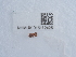  ( - NHMUK015112425)  @11 [ ] Unspecified (default): All Rights Reserved  Unspecified Unspecified