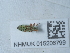  ( - NHMUK015206799)  @11 [ ] Unspecified (default): All Rights Reserved  Unspecified Unspecified
