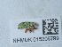  ( - NHMUK015206799)  @11 [ ] Unspecified (default): All Rights Reserved  Unspecified Unspecified