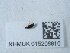  ( - NHMUK015206810)  @11 [ ] Unspecified (default): All Rights Reserved  Unspecified Unspecified