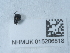  ( - NHMUK015206818)  @11 [ ] Unspecified (default): All Rights Reserved  Unspecified Unspecified