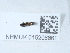  ( - NHMUK015206861)  @11 [ ] Unspecified (default): All Rights Reserved  Unspecified Unspecified