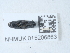  ( - NHMUK015206863)  @11 [ ] Unspecified (default): All Rights Reserved  Unspecified Unspecified