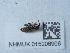  ( - NHMUK015206906)  @11 [ ] Unspecified (default): All Rights Reserved  Unspecified Unspecified