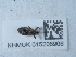  ( - NHMUK015206906)  @11 [ ] Unspecified (default): All Rights Reserved  Unspecified Unspecified