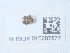  ( - NHMUK015207677)  @11 [ ] Unspecified (default): All Rights Reserved  Unspecified Unspecified