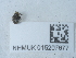  ( - NHMUK015207677)  @11 [ ] Unspecified (default): All Rights Reserved  Unspecified Unspecified