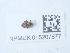  ( - NHMUK015207677)  @11 [ ] Unspecified (default): All Rights Reserved  Unspecified Unspecified