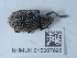  ( - NHMUK015207698)  @11 [ ] Unspecified (default): All Rights Reserved  Unspecified Unspecified
