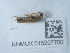  ( - NHMUK015207700)  @11 [ ] Unspecified (default): All Rights Reserved  Unspecified Unspecified