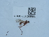  ( - NHMUK015209892)  @11 [ ] Unspecified (default): All Rights Reserved  Unspecified Unspecified