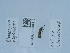  ( - NHMUK015209912)  @11 [ ] Unspecified (default): All Rights Reserved  Unspecified Unspecified