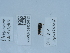  ( - NHMUK015209912)  @11 [ ] Unspecified (default): All Rights Reserved  Unspecified Unspecified