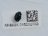  ( - NHMUK015212733)  @11 [ ] Unspecified (default): All Rights Reserved  Unspecified Unspecified