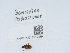  ( - NHMUK015212854)  @11 [ ] Unspecified (default): All Rights Reserved  Unspecified Unspecified