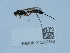  ( - NHMUK015212883)  @11 [ ] Unspecified (default): All Rights Reserved  Unspecified Unspecified