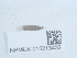  ( - NHMUK015213432)  @11 [ ] Unspecified (default): All Rights Reserved  Unspecified Unspecified