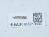  ( - NHMUK015213433)  @11 [ ] Unspecified (default): All Rights Reserved  Unspecified Unspecified