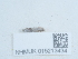  ( - NHMUK015213434)  @11 [ ] Unspecified (default): All Rights Reserved  Unspecified Unspecified
