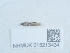  ( - NHMUK015213434)  @11 [ ] Unspecified (default): All Rights Reserved  Unspecified Unspecified