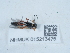 ( - NHMUK015213475)  @11 [ ] Unspecified (default): All Rights Reserved  Unspecified Unspecified
