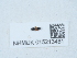  ( - NHMUK015213481)  @11 [ ] Unspecified (default): All Rights Reserved  Unspecified Unspecified